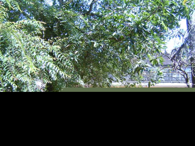 img 2